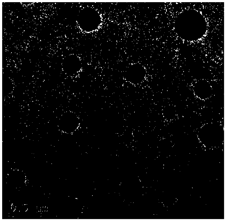 Epoxy-group-containing fluorosilicone modified acrylate emulsion and preparation method thereof