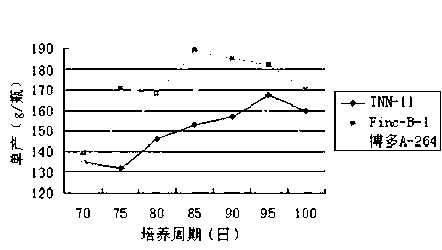 Novel strain of hypsizigus marmoreus