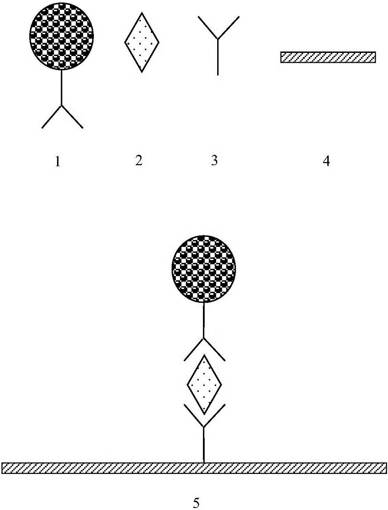 Microballoon-based cup-type time resolution fluorescent procalcitonin analysis kit, preparation method and application thereof