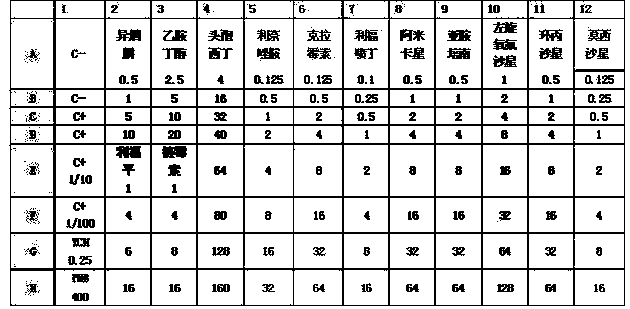 Mycobacterium drug sensitive detection kit and testing method thereof