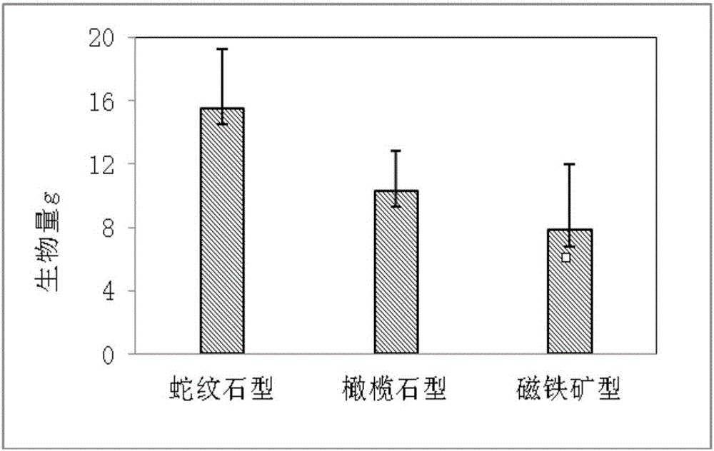 Method for remediating heavy metal contaminated soil by utilizing charcoal and chelating agent to strengthen plant