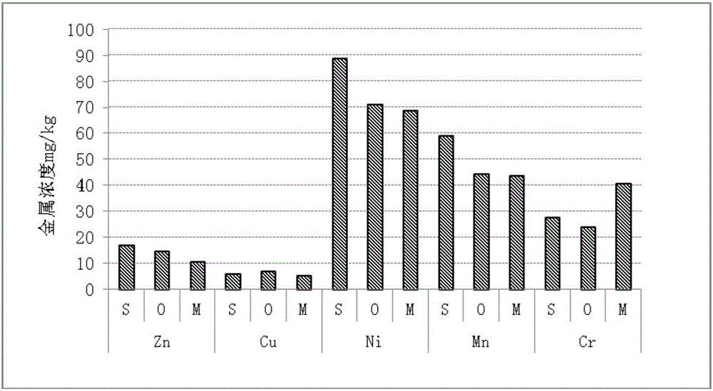 Method for remediating heavy metal contaminated soil by utilizing charcoal and chelating agent to strengthen plant