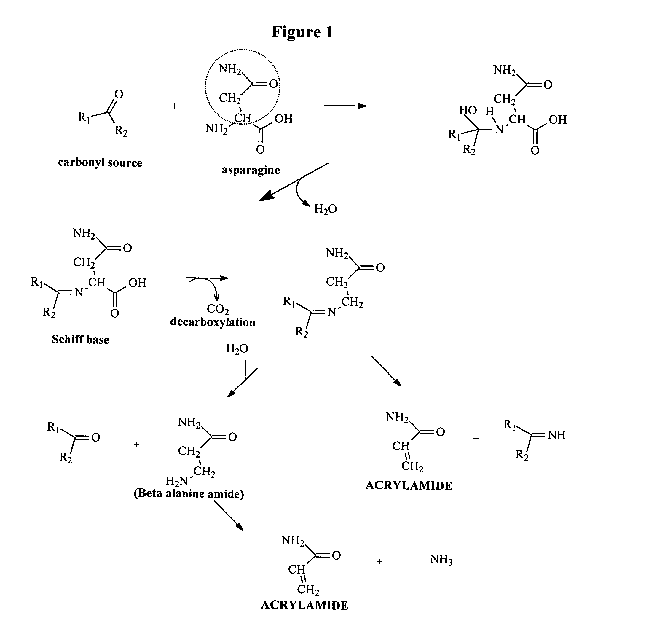 Method for reducing acrylamide in corn-based foods, corn-based foods having reduced levels of acrylamide, and article of commerce