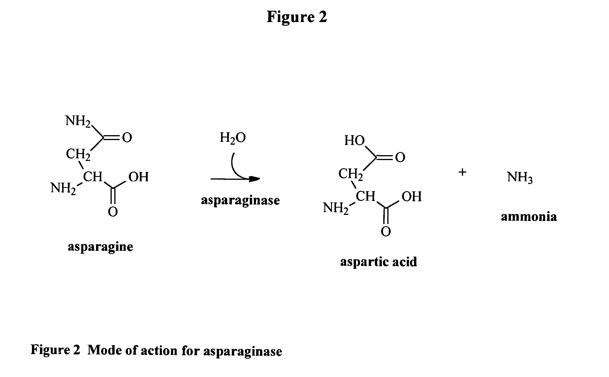 Method for reducing acrylamide in corn-based foods, corn-based foods having reduced levels of acrylamide, and article of commerce