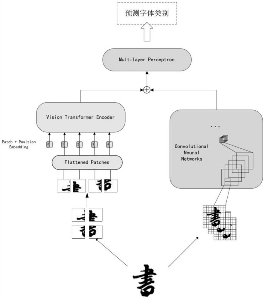 ViT and convolutional neural network fused calligraphy body type rapid identification method