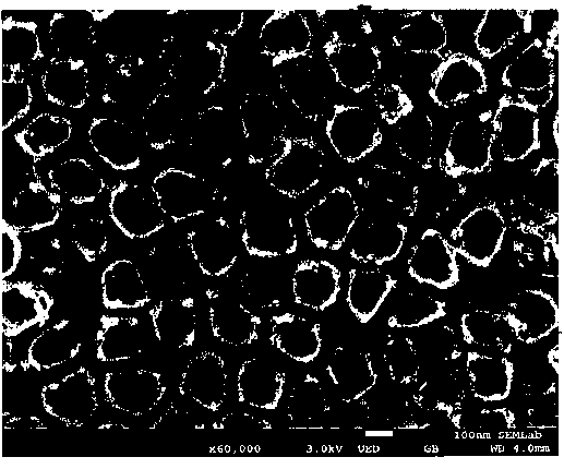 Transgingival structure and manufacturing method of implant abutment with visible light functionalization function