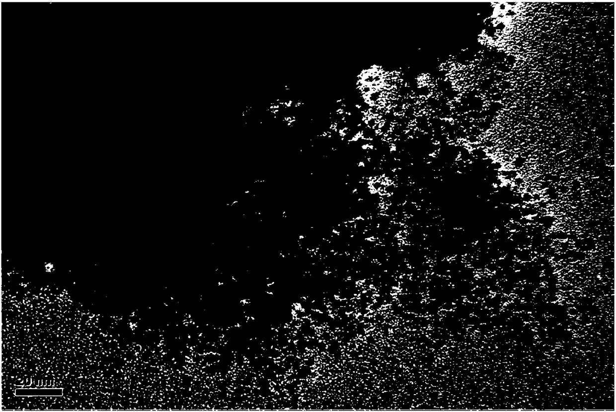 Method of coating MOF to improve photostability of gold nanocluster and application thereof