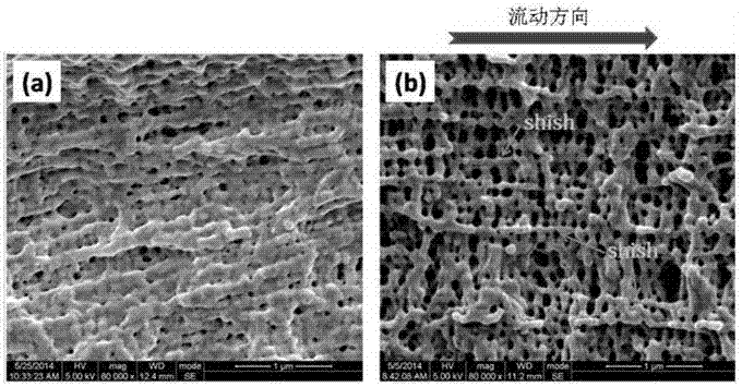 A kind of preparation method of reinforced toughened polylactic acid