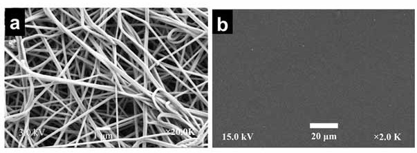 A kind of oral instant film containing rizatriptan benzoate and preparation method thereof