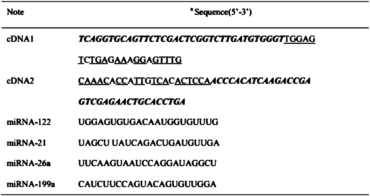 Biosensor for simultaneously detecting AFP (Alpha Fetoprotein) and miRNA-122 through resonance light scattering and preparation method of biosensor