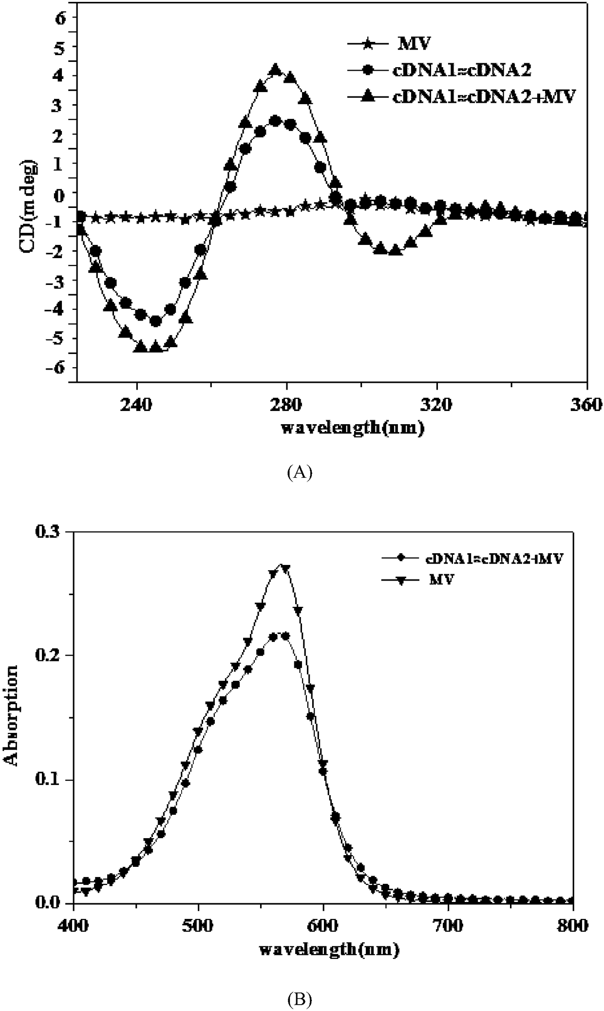 Biosensor for simultaneously detecting AFP (Alpha Fetoprotein) and miRNA-122 through resonance light scattering and preparation method of biosensor