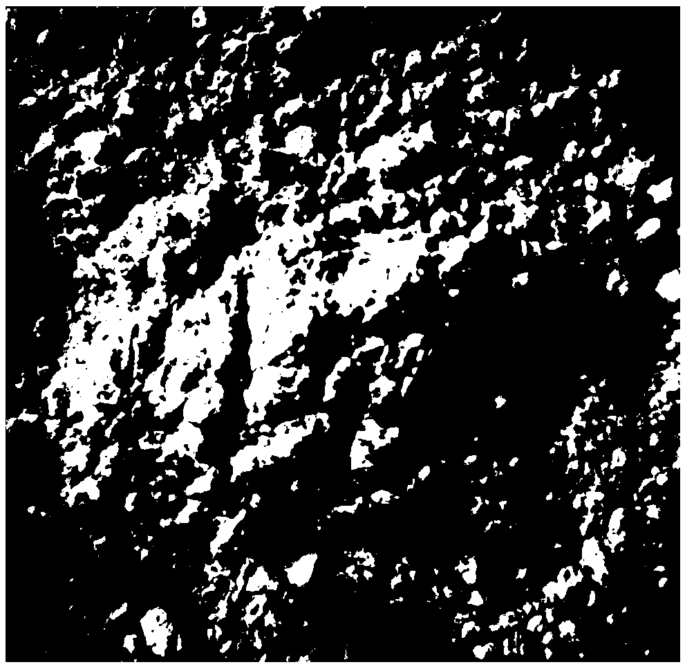 Herba pogostemonis essential oil inclusion compound as well as preparation method and application thereof