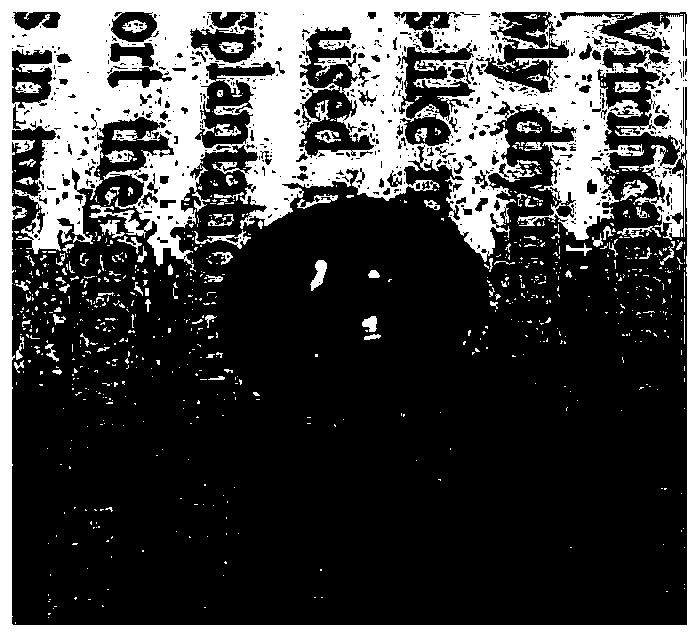 Suture-resistant collagen-based corneal regeneration and repair material and preparation method thereof