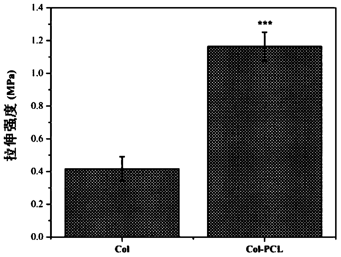 Suture-resistant collagen-based corneal regeneration and repair material and preparation method thereof