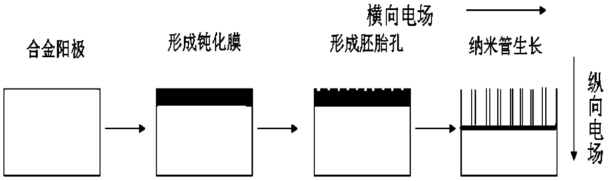 Preparation method and application of Co and Al2O3 compound nanotube array membrane catalyst