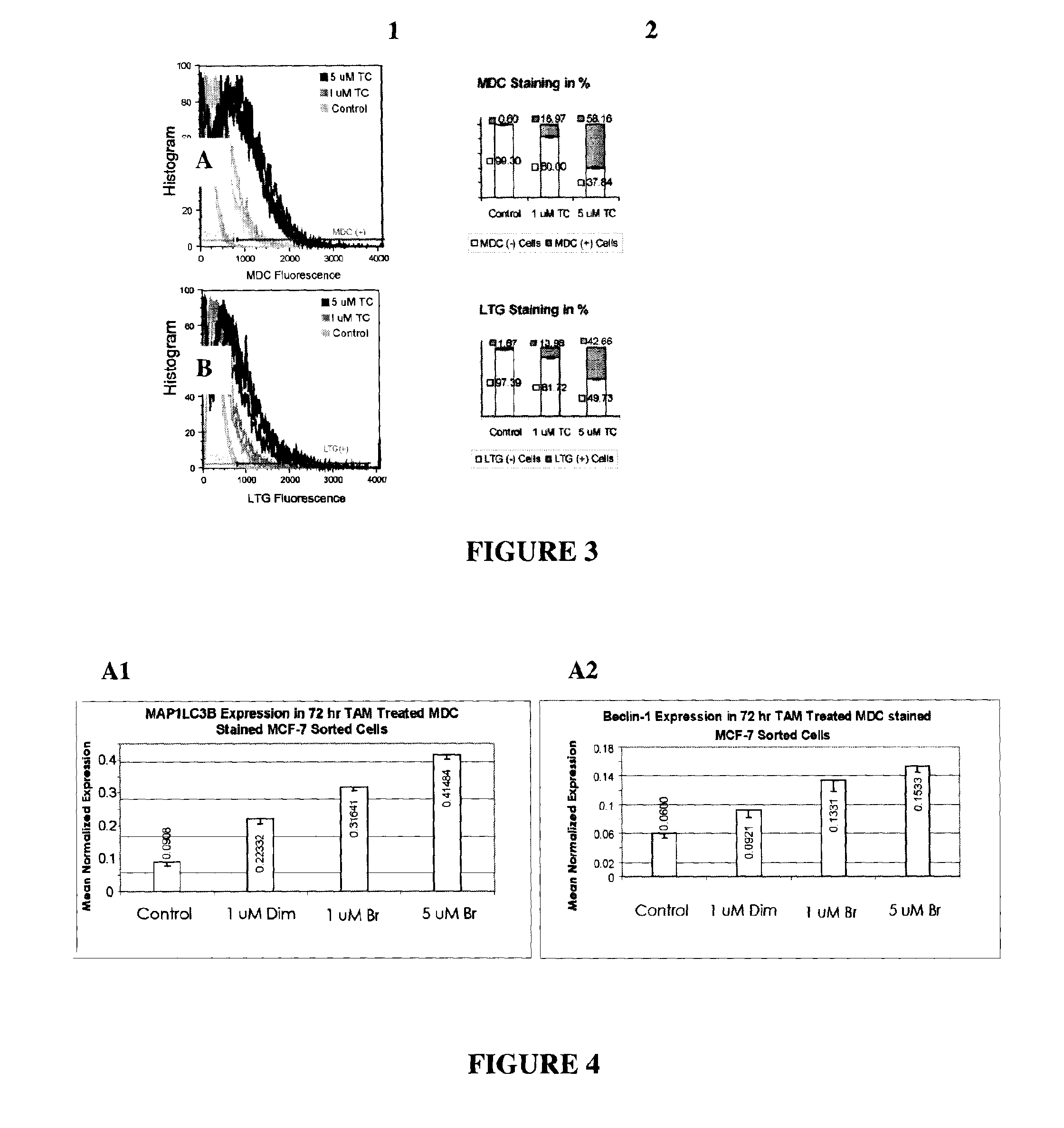 Inhibition of autophagy genes in cancer chemotherapy