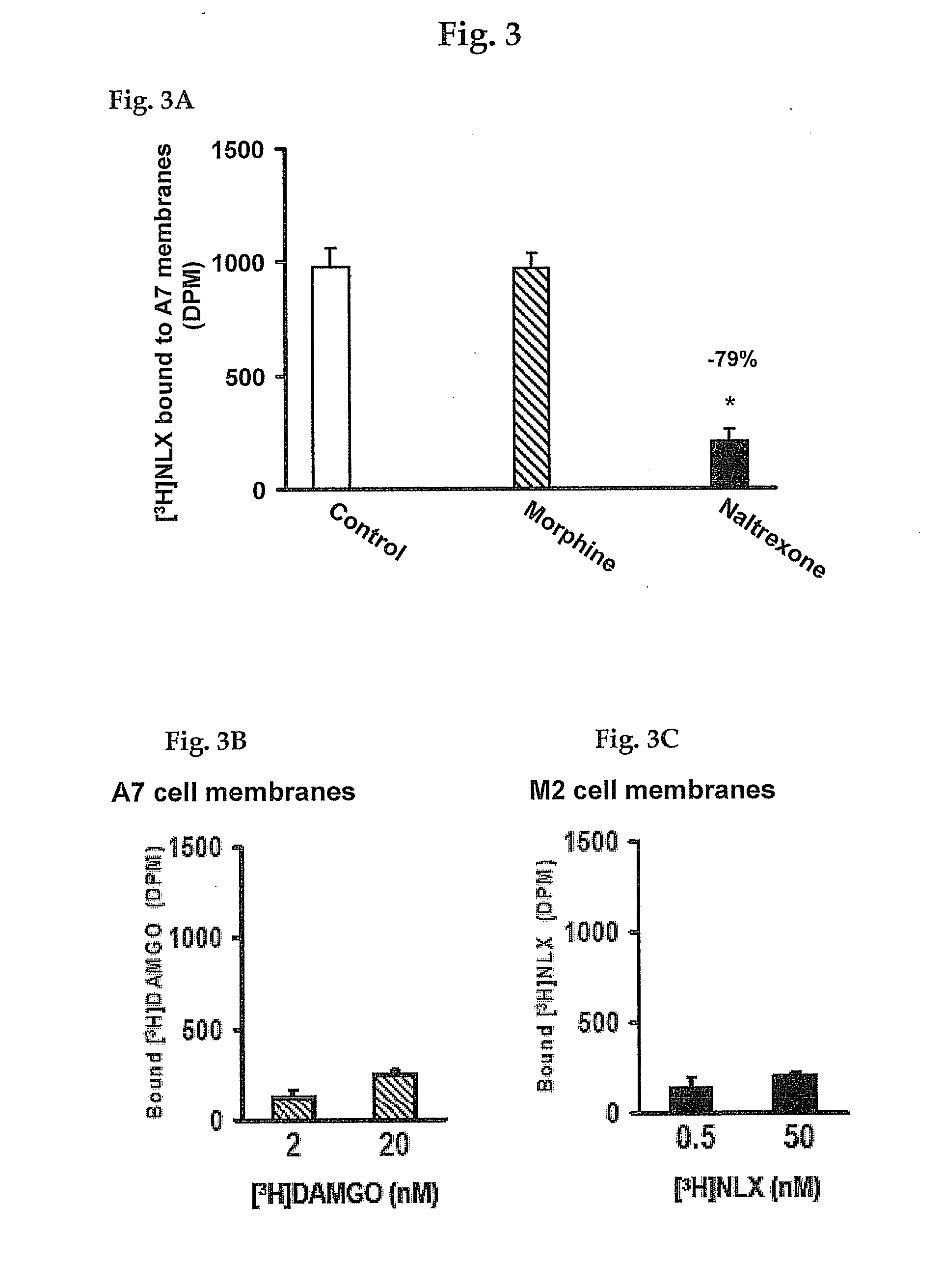 Analgesia with minimal tolerance and dependence by a mu opioid receptor agonist that also binds filamin a