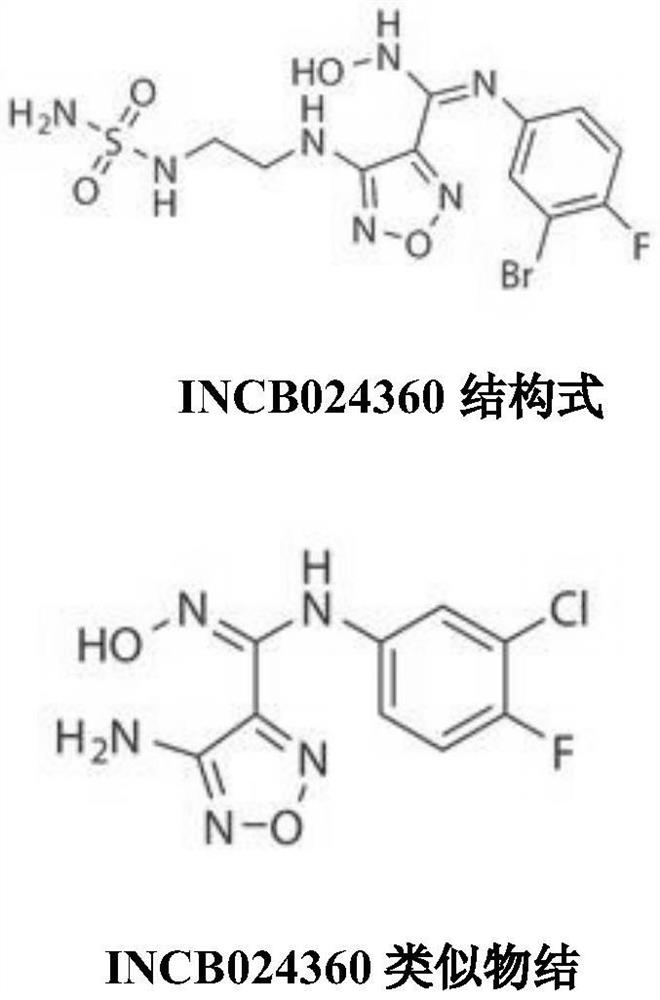 Novel Indoleamine 2,3-Dioxidase Inhibitors