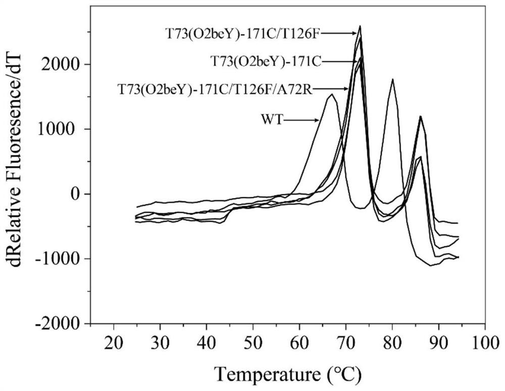 Heat-resistant neutral pullulanase mutant and application thereof