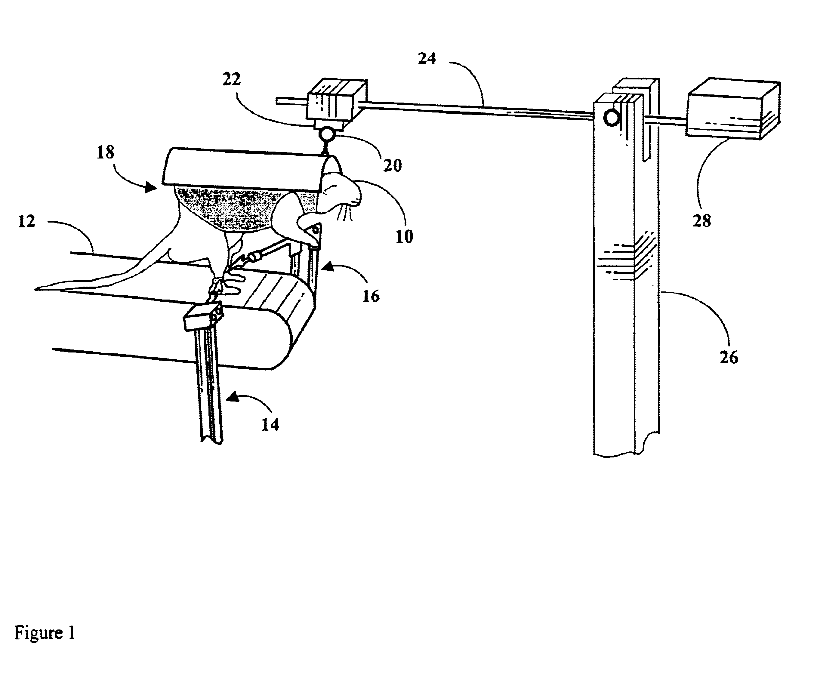 Robotic device for locomotor training