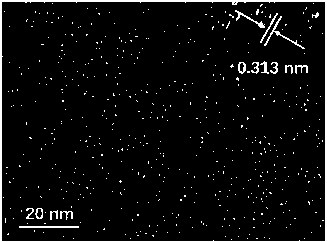 Fluorine-nitrogen doped carbon quantum dot as well as preparation method and application thereof