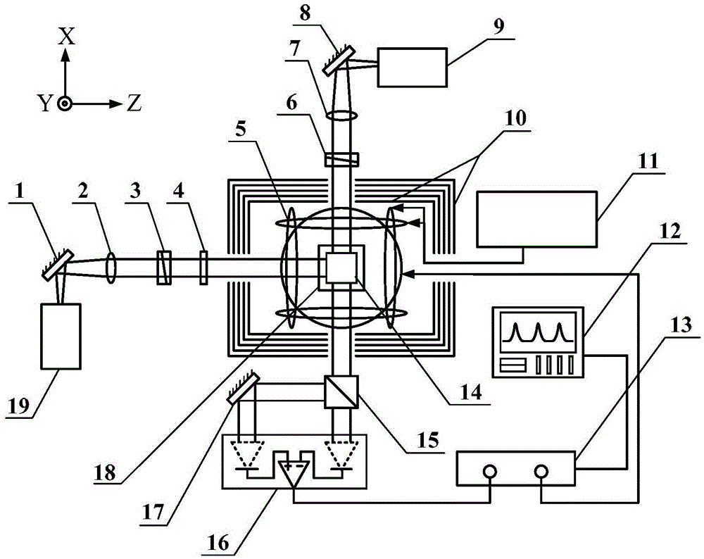 Real-time online atomic density measuring method suitable for atom magnetometer