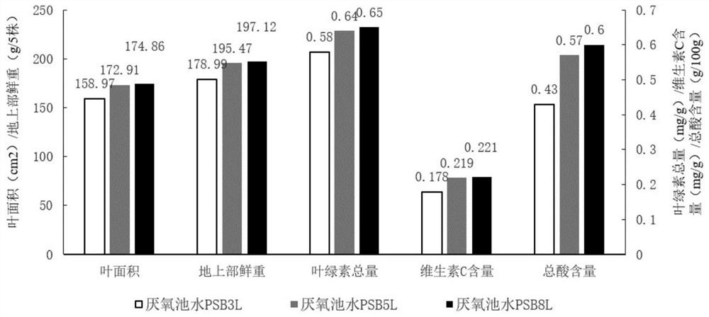 Method for preparing ecological bacterial fertilizer by utilizing pig manure wastewater subjected to anaerobic treatment