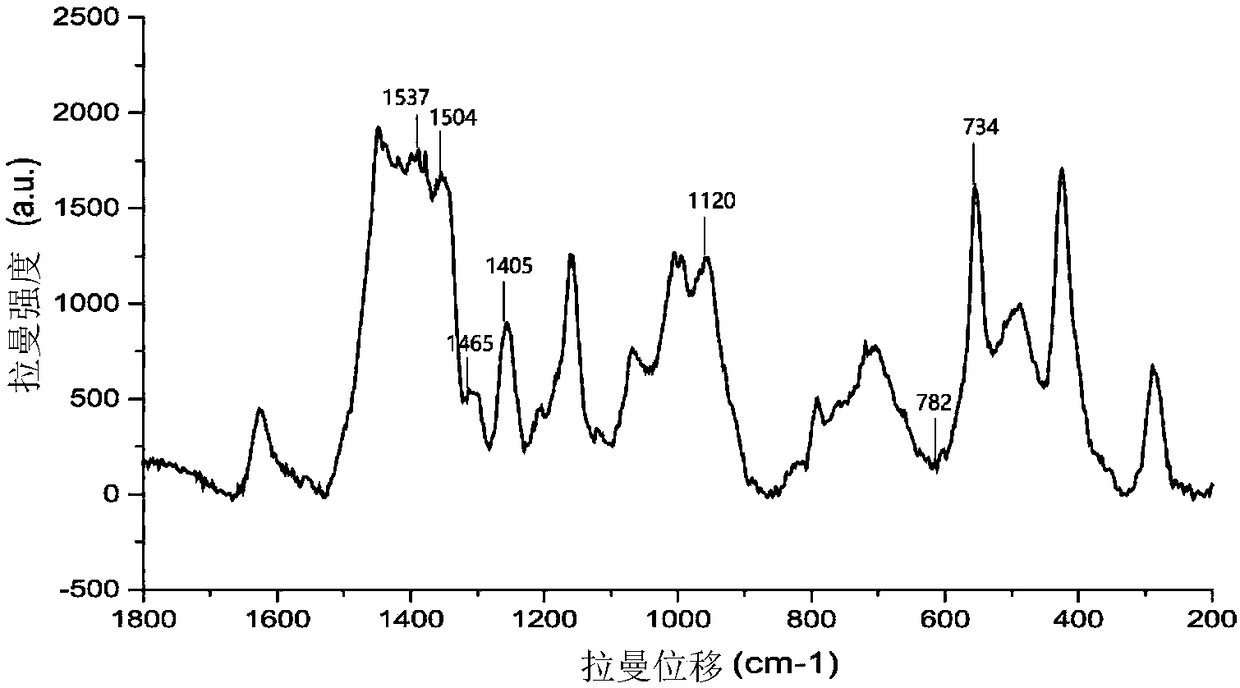 Method for preparing core-shell SERS structure based on amplification of nucleic acid strand by terminal deoxynucleotidyl transferase