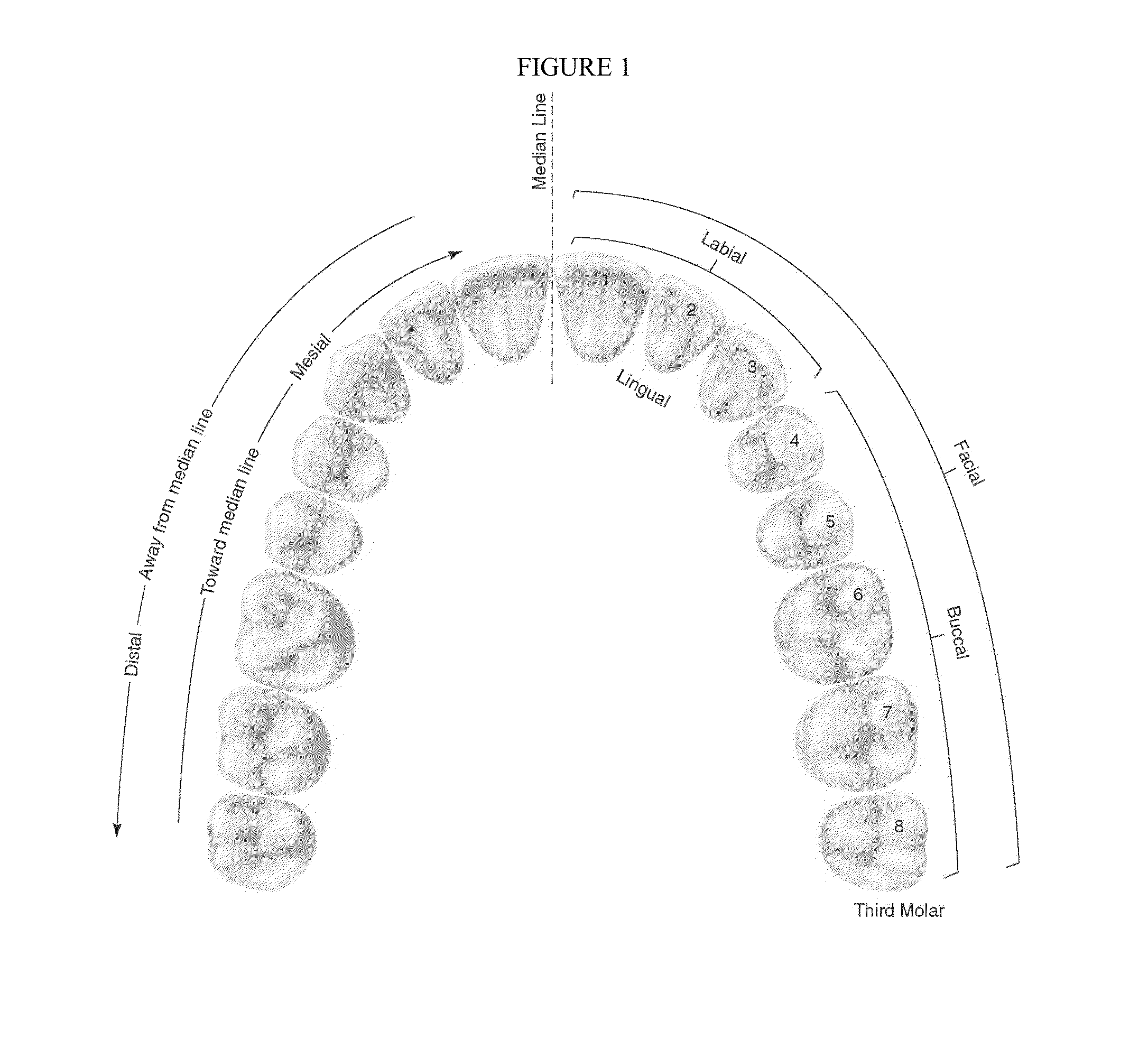 Dual head connector