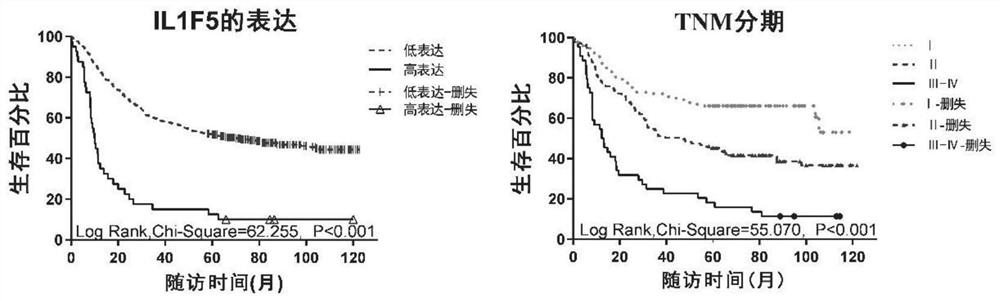 Lung adenocarcinoma related diagnostic marker and application thereof