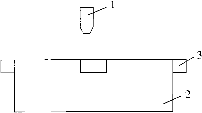 Large-size target ultrasonic treatment device and treatment method thereof