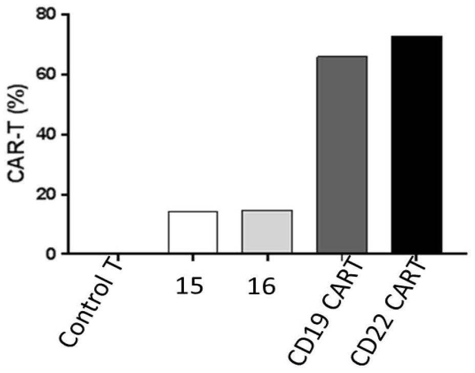 Dual CAR (chimeric antigen receptor) structure targeting bispecific sites and application thereof