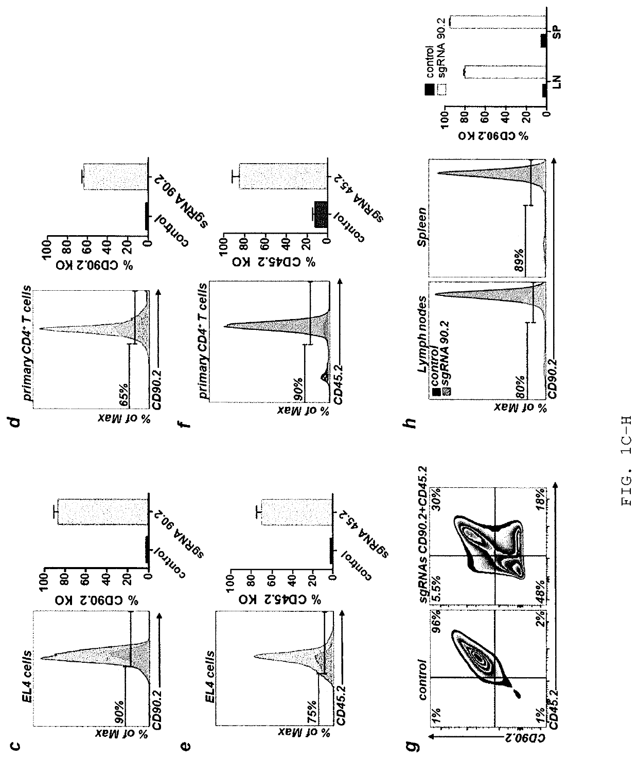 Allele editing and applications thereof