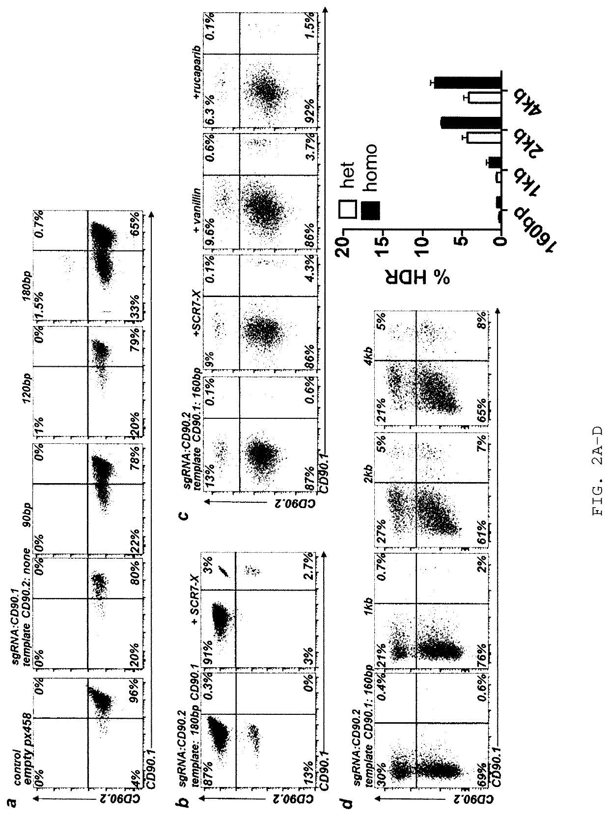 Allele editing and applications thereof