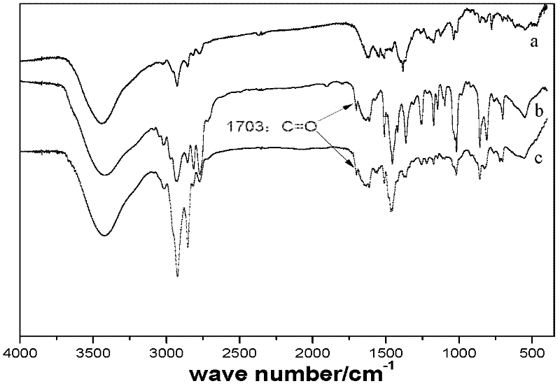 Modified anion exchange resin with double long carbon chains and preparation method and application thereof