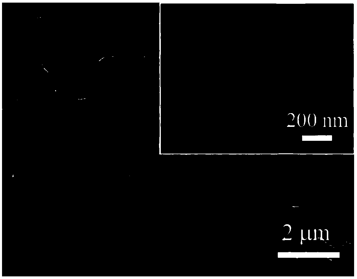 Vertical graphene/niobium-titanium-oxygen/sulfur-carbon composite material with three-dimensional porous array structure and preparation method and application of vertical graphene/niobium-titanium-oxygen/sulfur-carbon composite material