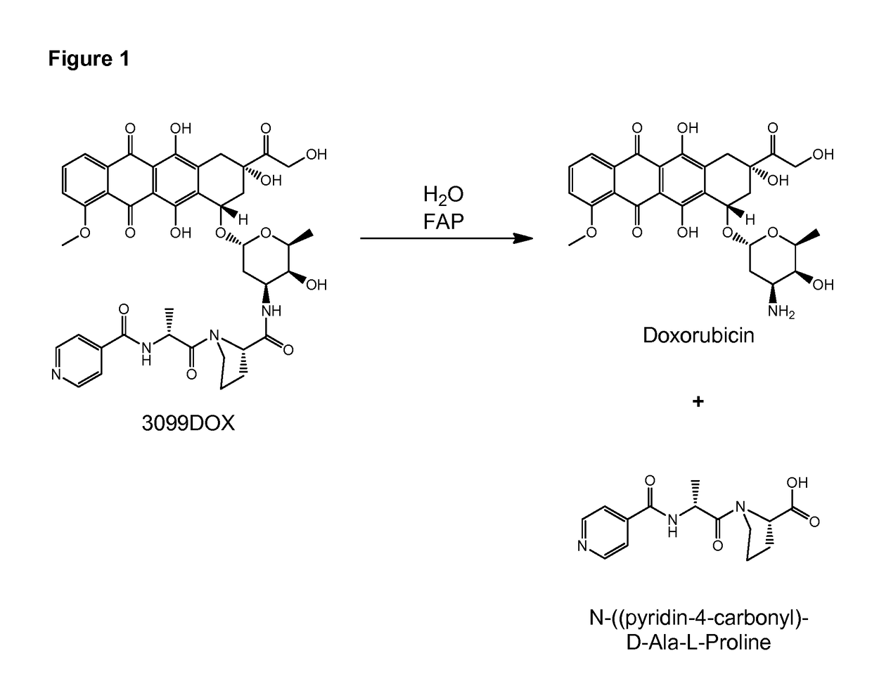 FAP-Activated Therapeutic Agents, and Uses Related Thereto