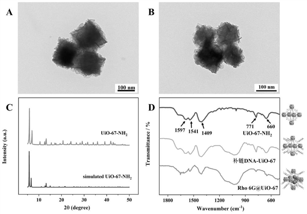 Nucleic acid functionalized MOF (Metal Organic Framework) material as well as preparation and application thereof