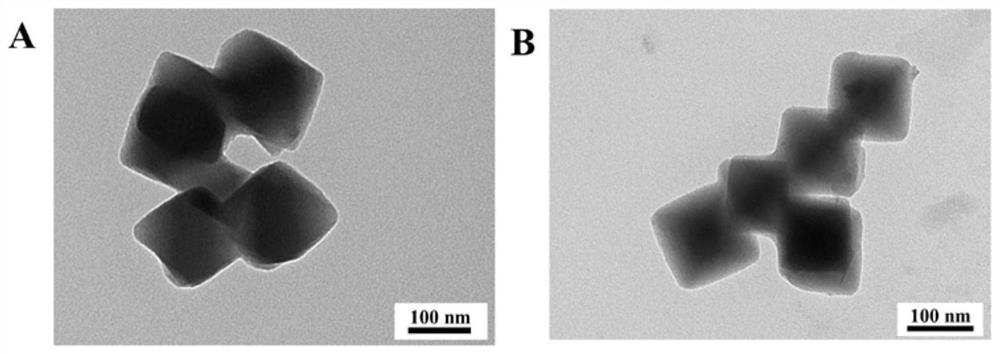 Nucleic acid functionalized MOF (Metal Organic Framework) material as well as preparation and application thereof