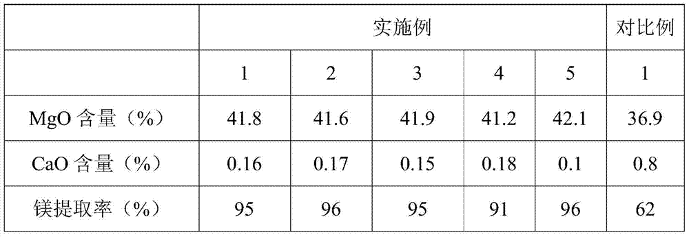 A kind of light magnesium carbonate prepared by borate method and its production method and application