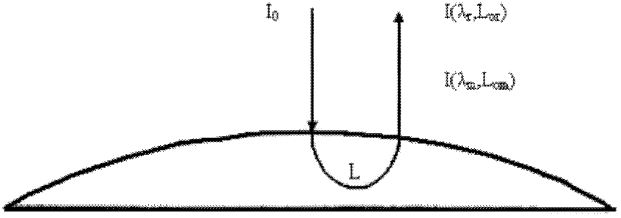 Optical detection device and method for concentration of components in turbid medium based on limited range wavelength method