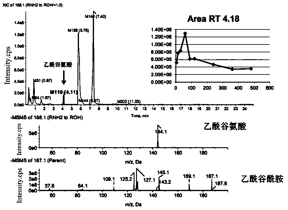 A kind of acetylglutamine metabolite identification detection method