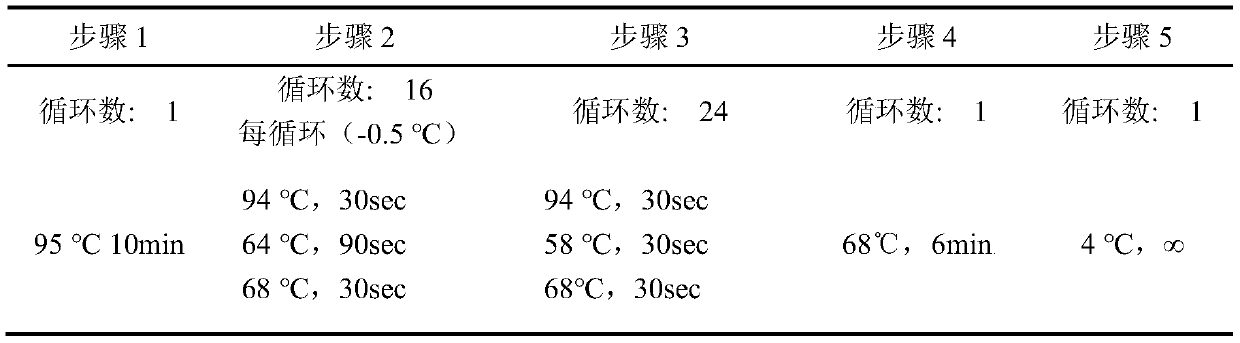 Primer, kit and method for detecting glucose-6-phoshate dehydrogenase deficiency G6PD gene mutation