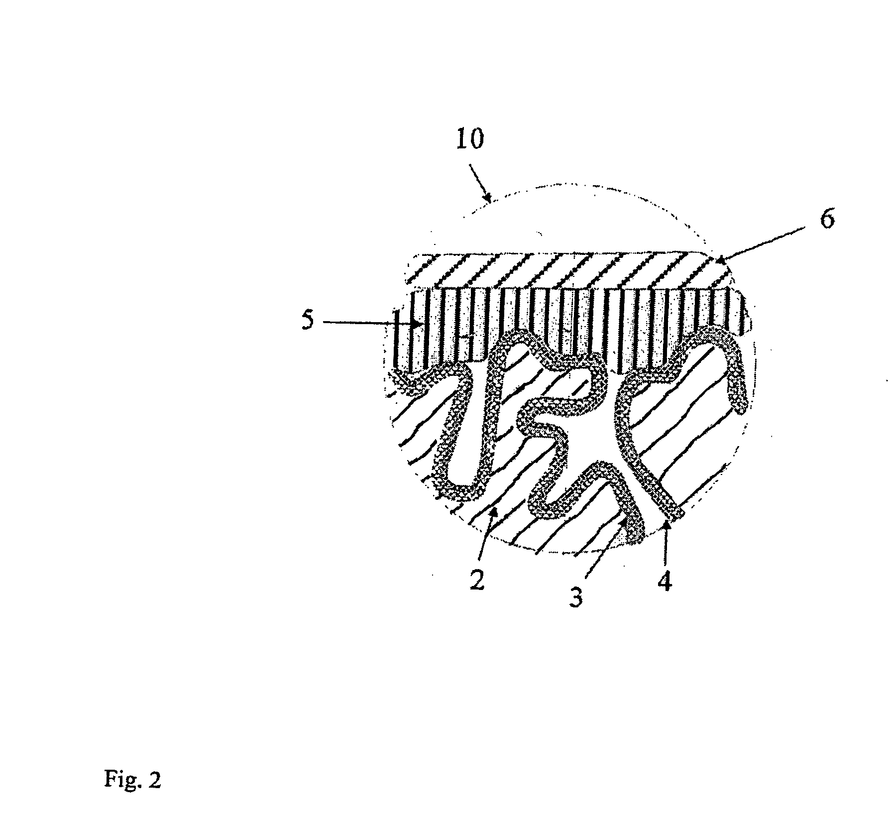 Electrolytic capacitors with a polymeric outer layer