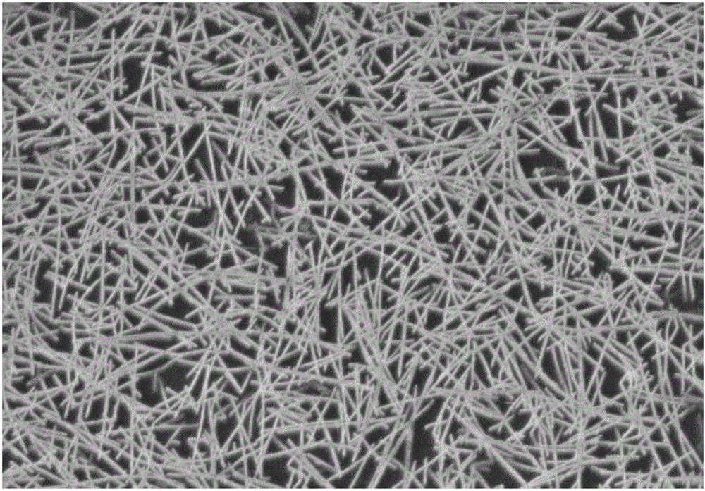 Carbon nano tube thin film transistor and manufacturing method thereof