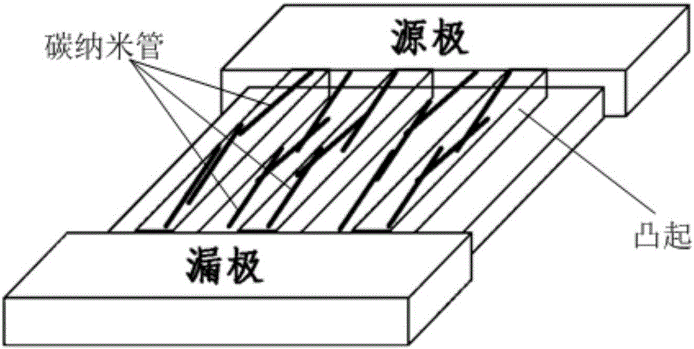 Carbon nano tube thin film transistor and manufacturing method thereof