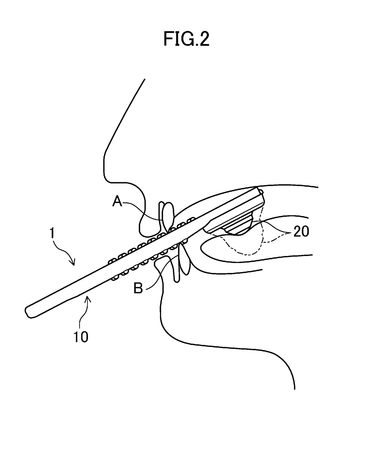 Oral cavity function training tool