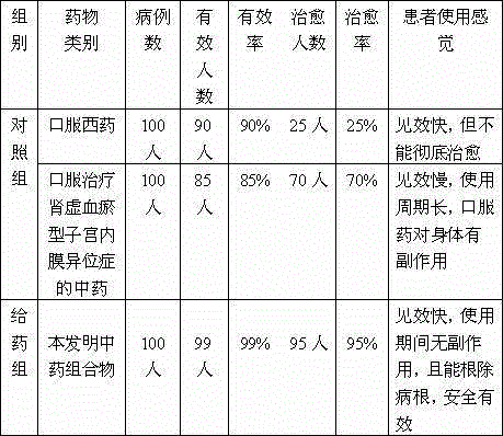 Traditional Chinese medicine composition for treating endometriosis caused by kidney deficiency and blood stasis and preparation method