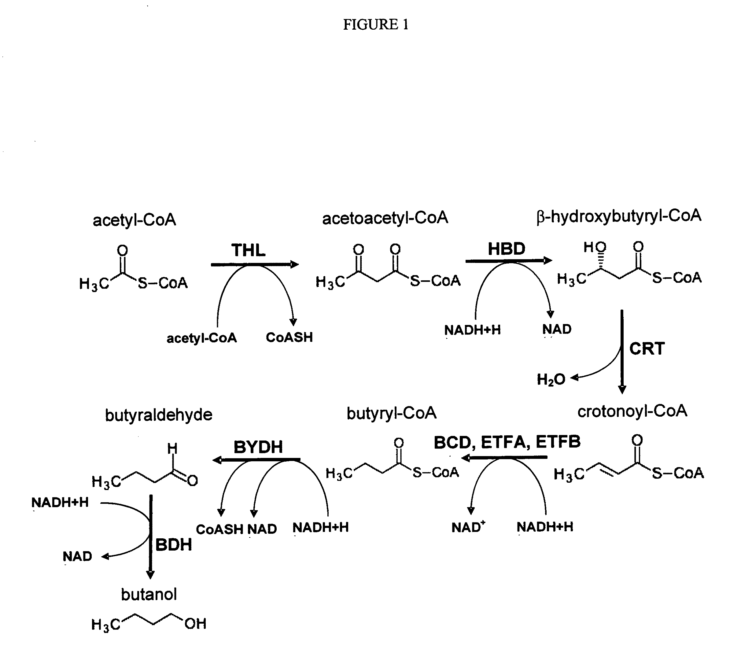 Methods for the production of n-butanol