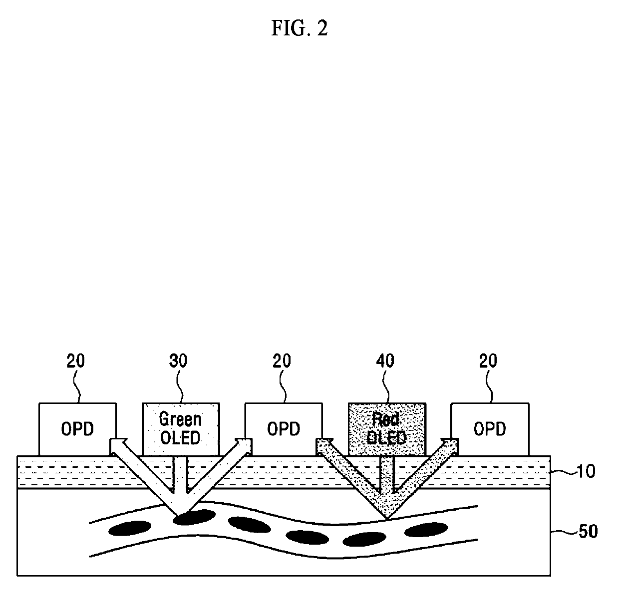 Bio-information detecting sensor